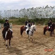 Anden særlig race Bette Claus  solgt* :(