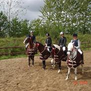 Anden særlig race Bette Claus  solgt* :(