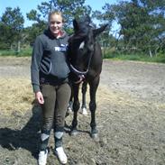 Anden særlig race Kordian *Gammel part*