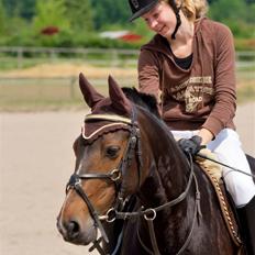 Hollandsk Sportspony Mistery Girl