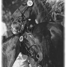 Oldenborg VESTERGÅRDENS STAR DANCE 23/7-23 †