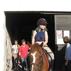 Anden særlig race Lighter *rideskolepony :(