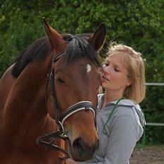 Trakehner Ido Kaiserkat*solgt*