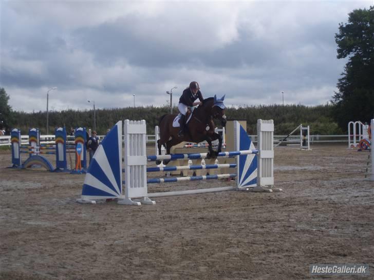 Dansk Varmblod Leroux' farvelminengel <3 - Fordi du havde det største sving i rykken <3 billede 11