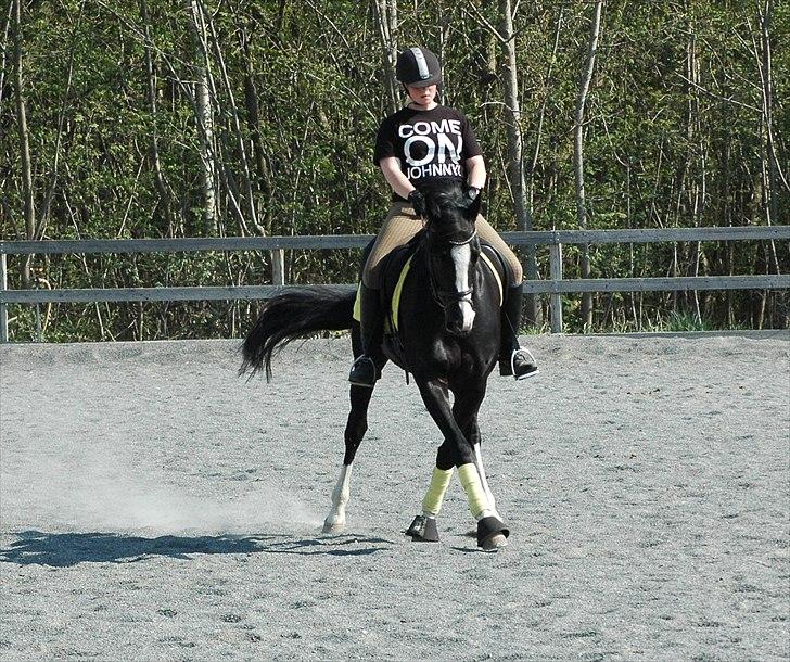 Holstener Prior's Maluta *SOULMATE* R.I.P 15/09/2011 - Fordi du er fantastisk <3 billede 15