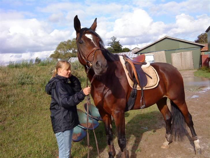 Anden særlig race Malpa  (SOLGT) billede 9