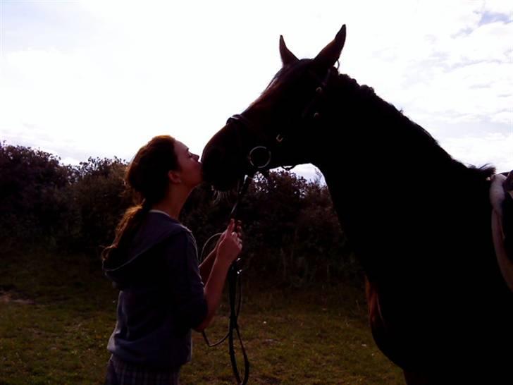 Anden særlig race Malpa  (SOLGT) billede 10