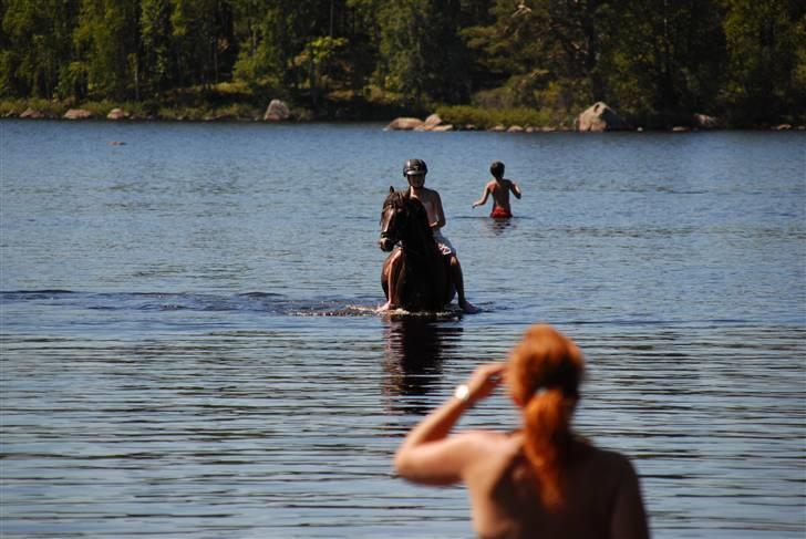 Welsh Pony (sec B) KallistalodgeViper RIP:'( - badesøen vildt dejligt en varm sommerdag billede 18