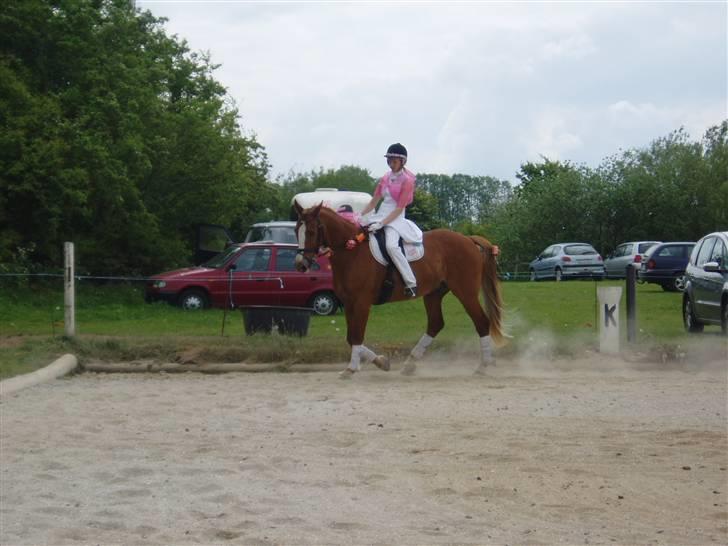 Frederiksborg  / DV Amigo - Til stævne på rudemølle ,, udklædningsklasse hvor vi red LB1 .. :b foto: min far billede 14