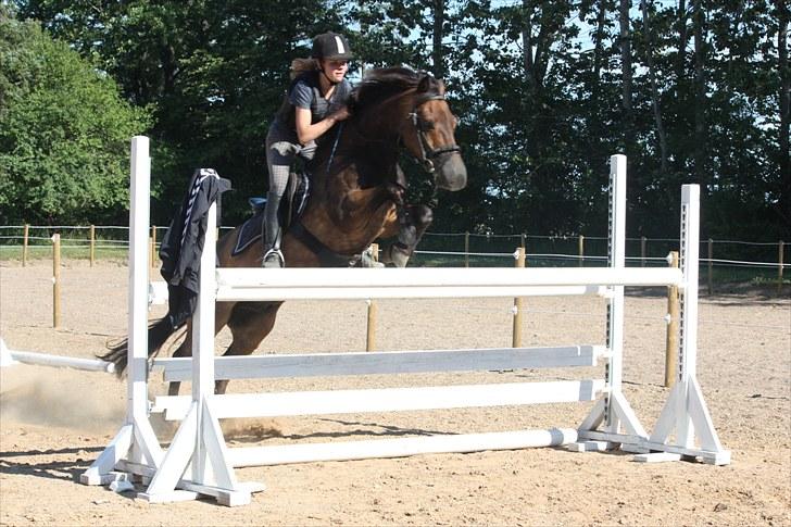 New Forest Bastian ¤solgt&savnet¤ - spring ca. 120 cm - juli 2010 billede 20