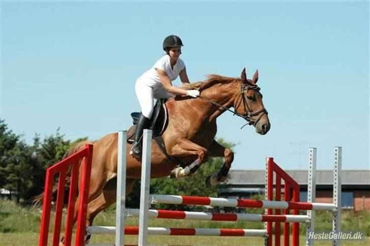Frederiksborg Kiara - Her springer Kiara hippodromspringning (det er en af hesteveninderne der lånte kiara i denne klasse) billede 13