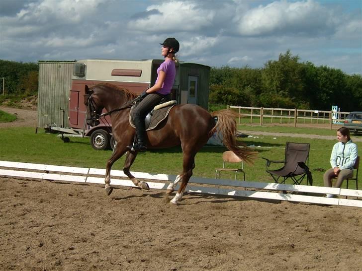 DSP Boccacio:<3 SOLGT :( - overgang billede 12