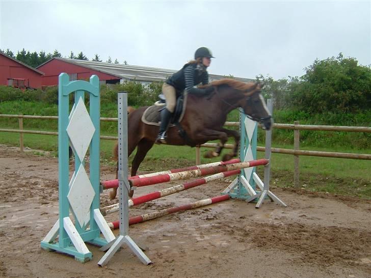 DSP Boccacio:<3 SOLGT :( - spring billede 14