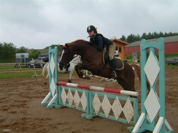 DSP Boccacio:<3 SOLGT :( - spring billede 15