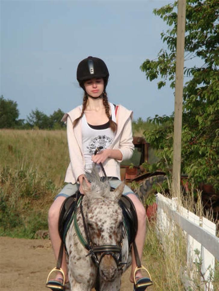 Knabstrupper Ac-Action - GL. Part. - Og det var så slut! Både på parten og på billederne.. billede 18