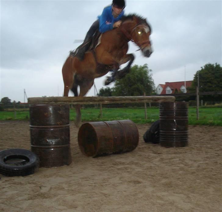 Anden særlig race Bobby<3 (SOLGT):'(!! - hop og så hopper han  billede 13