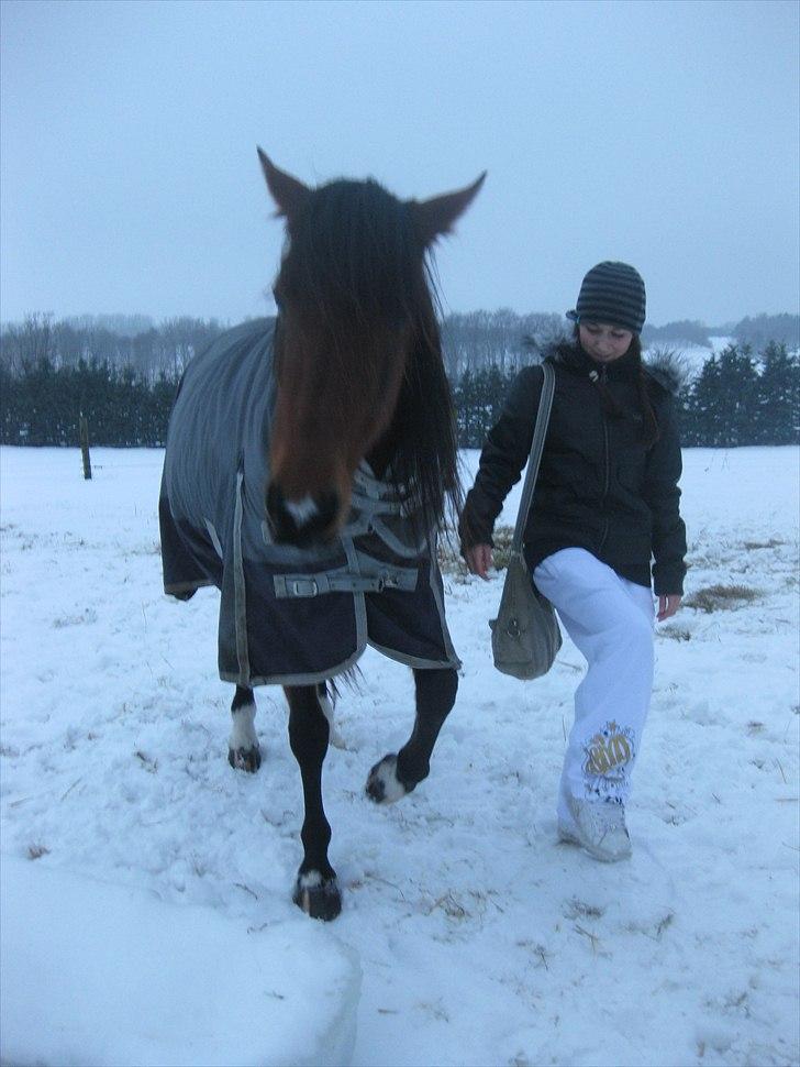 Traver Light My Fire (Kiara) - Dygtiiiiig billede 4