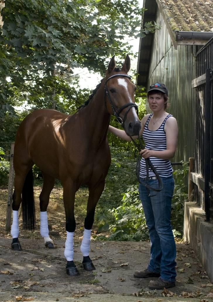 Standardbred Ifront Skalflex *RIP* - 26/8-09 billede 13