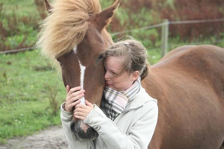 Islænder Hervör frá Rödli SOLGT  - Foto: Tonny De Lasson billede 7
