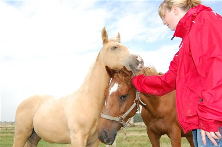 Anden særlig race Mainert Botoft - Det er dejligt at blive kløet.. billede 15