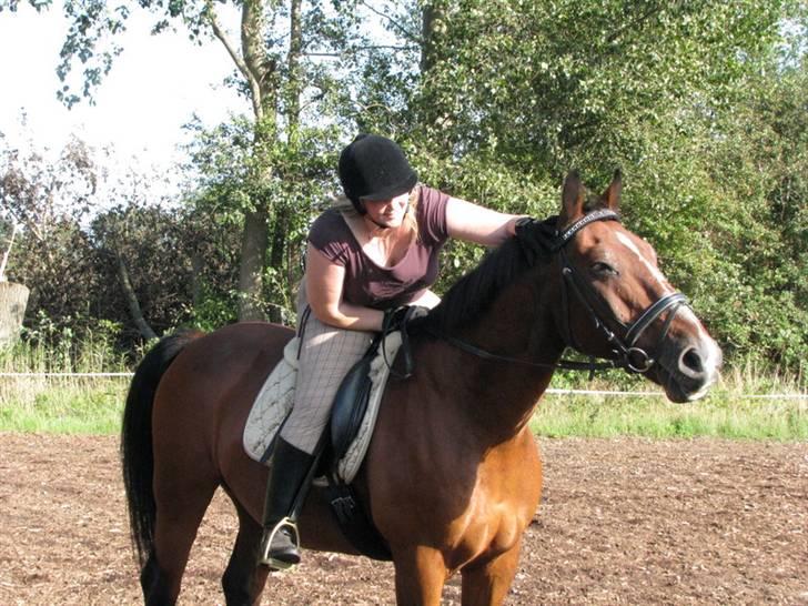 Anden særlig race Lazeo R.I.P - 100% rideglæde :O) billede 12