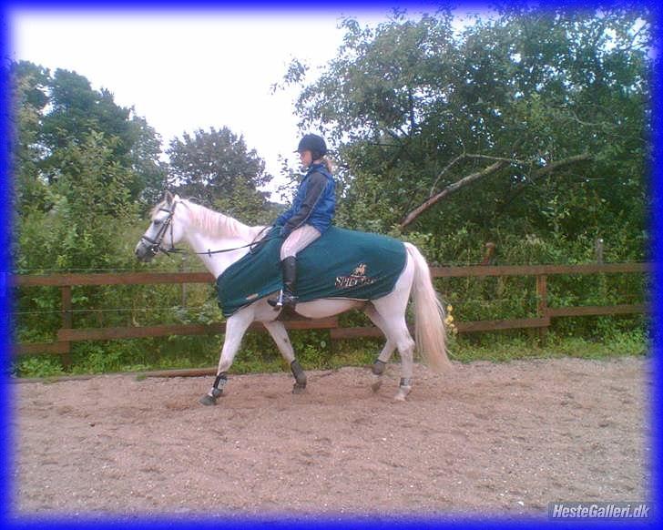 DSP STENVÆNGE SUPER STAR - 10) Fordi du var så skøn <3 billede 10