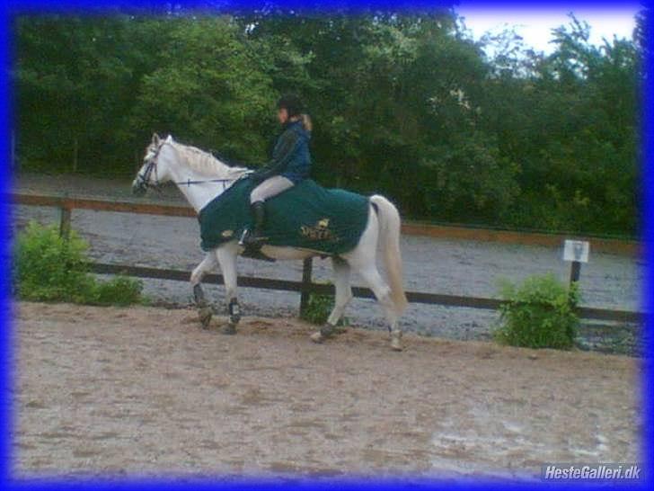 DSP STENVÆNGE SUPER STAR - 11) Fordi du var ridelig <3 billede 11