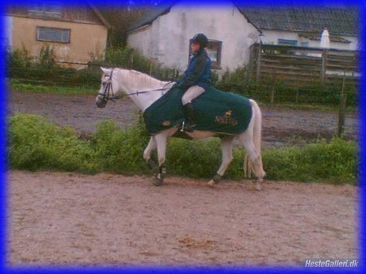 DSP STENVÆNGE SUPER STAR - 12) Fordi du var fantastisk <3 billede 12