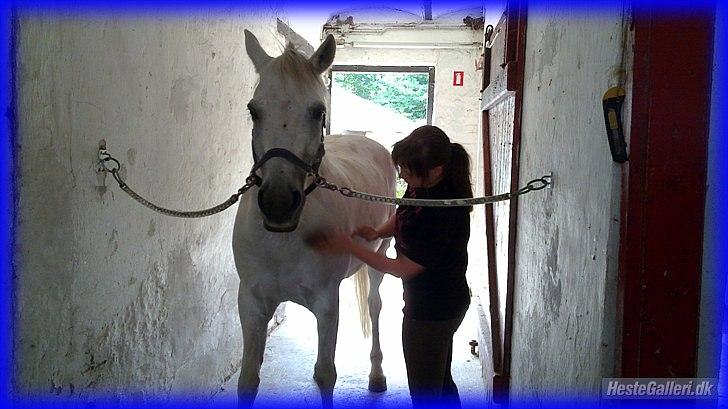 DSP STENVÆNGE SUPER STAR - 13) Den dag var jeg lykkelig for første gang i lang tid <3 N Y T billede 13