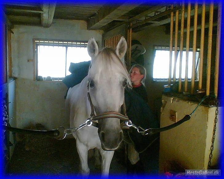 DSP STENVÆNGE SUPER STAR - 17) Fordi du var dejlig <3 billede 17