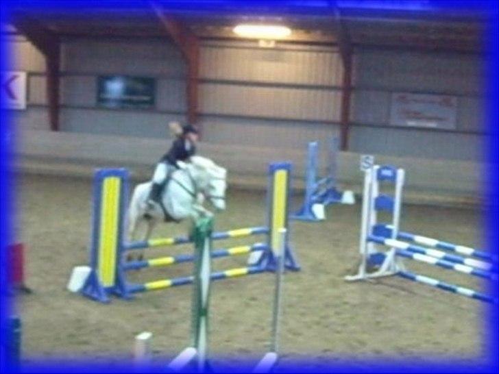 DSP STENVÆNGE SUPER STAR - 18) Fordi vi kunne se dumme ud sammen <3 billede 18