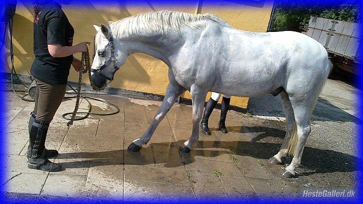 DSP STENVÆNGE SUPER STAR - 19) You made my day special <3 N Y T billede 19