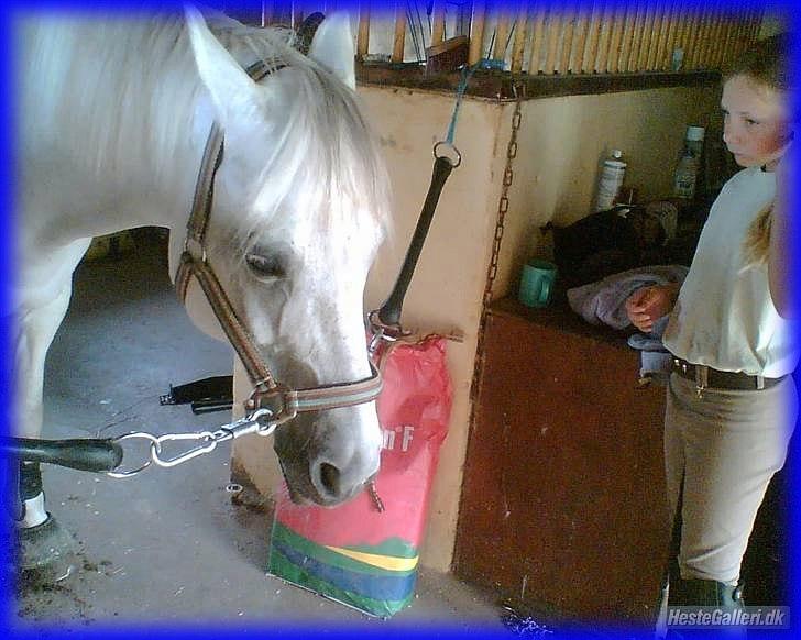 DSP STENVÆNGE SUPER STAR - 20) Fordi du altid vil være i mit hjerte <3 billede 20