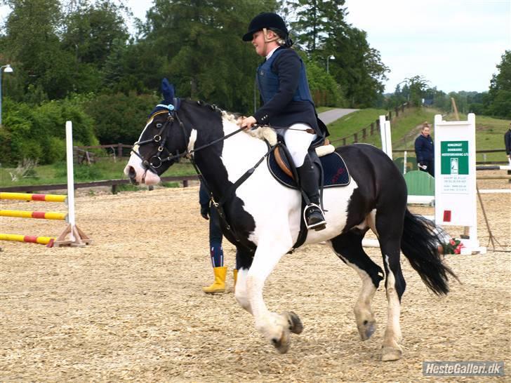 Irish Cob athos<333 - Mig og athos til klubmesterskabet i spring hehe billede 3