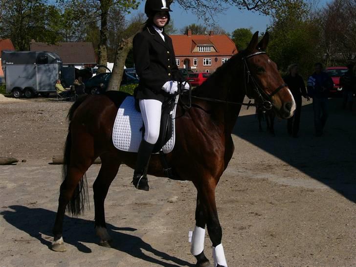 Anden særlig race Lucas Solgt  - aller første stævne d 25 april vi havde li været inde billede 8