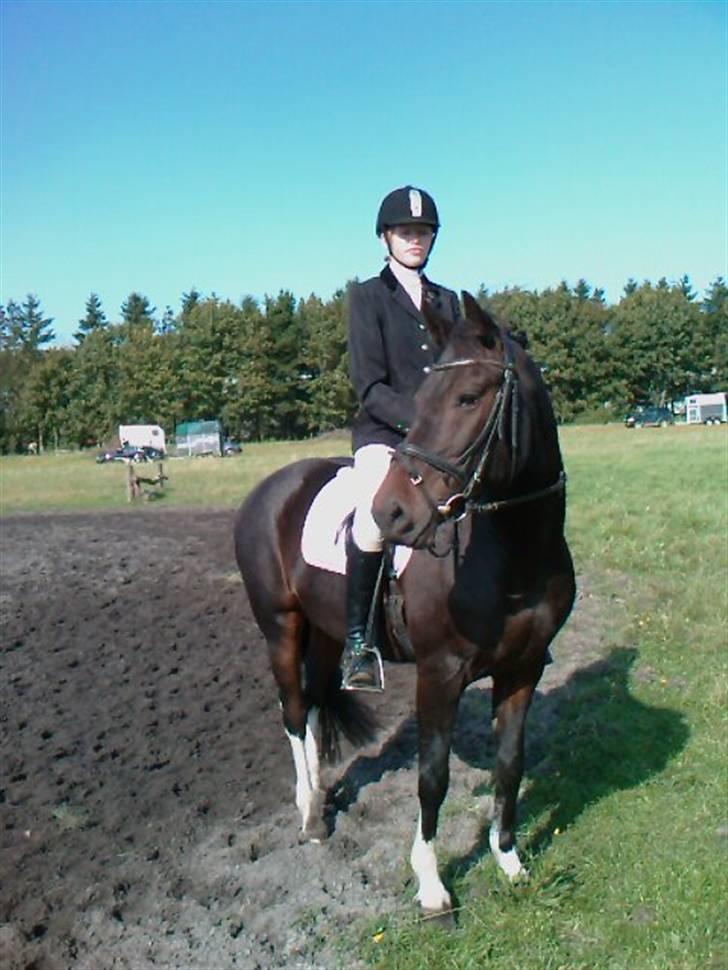 Anden særlig race Bette Hansen billede 17