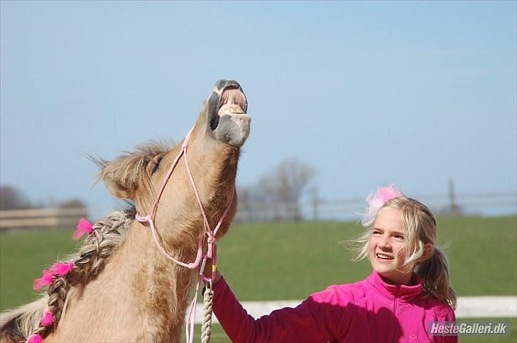 Anden særlig race Princess R.I.P †SOULMATE† - Du gav mig altid et smil på læben! Sidste gang jeg kunne være glad!.. <3  Foto. Cille Madsen<3 billede 2