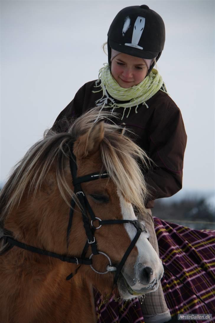 Anden særlig race Princess R.I.P †SOULMATE† - Du var min bedste ven!.. Mon jeg finder en "rigtig" ven igen? Det spørgsmål køre rundt i mit hoved... <3 Foto. Jeanett Nørgaard<3 billede 3