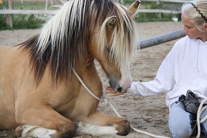 Anden særlig race Princess R.I.P †SOULMATE† - Princess? Undskyld jeg ikke kunne holde, hvad jeg lovede!? :´( men jeg elsker dig skat!.. :´( <3 Foto. Julie Høholt billede 8