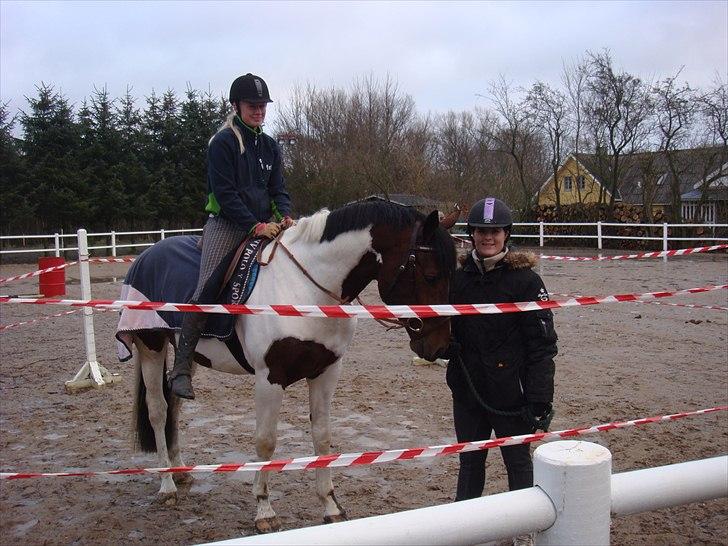 Pinto Perplex Ito  - stolt mor og min seje rytter og hingst  billede 7