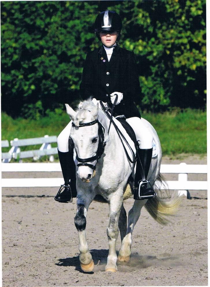 Anden særlig race Gameboy <3 *solgt* /: - Holbækmesterskaberne, her i LB2. 2. plads, slået af sidste rytter! amazing pony <3 - foto : animal print. billede 18