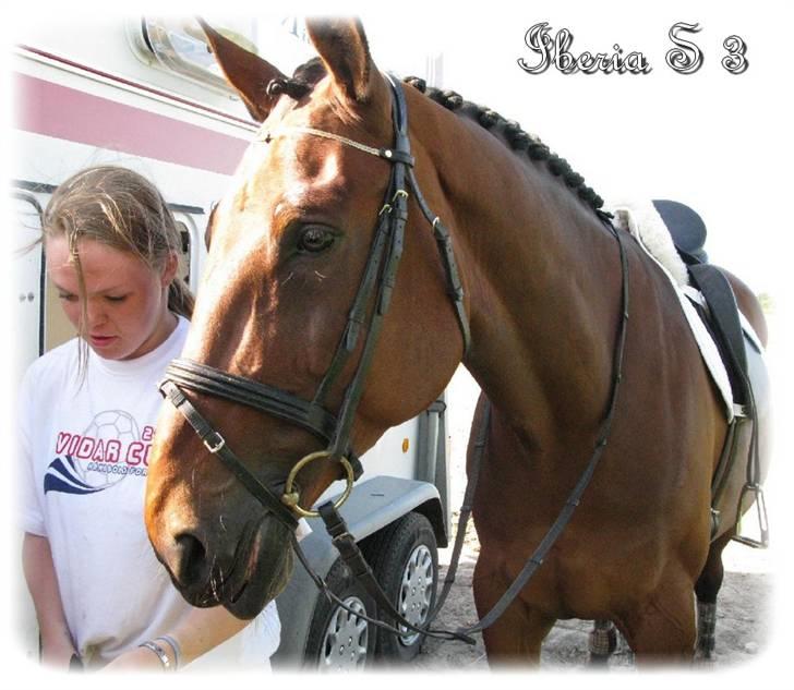 Anden særlig race | Iberia S 3 | - Xx 8 xX Til stævne på Fredmarksgård. Nummer 4 i club cuppen med 65, ? % Foto: Marie-Louise Rasmussen billede 7