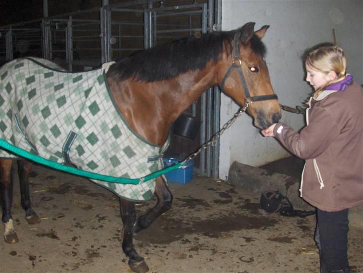 Welsh Pony (sec B) Leonie I LOVE YOU!(solgt) - et lille trick jeg har lært hende:D billede 18