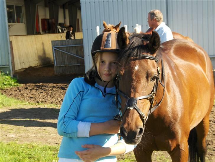 Welsh Pony (sec B) Leonie I LOVE YOU!(solgt) - en daglig dag  billede 19