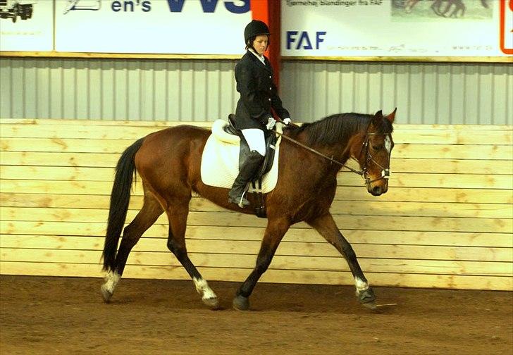 Traver Kaja Hedegården - Stævne 2.April 2011 billede 3