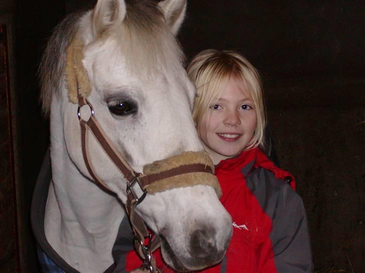 Anden særlig race Cavalir - her er jeg sammen med Kalle ude på Hjr. billede 4