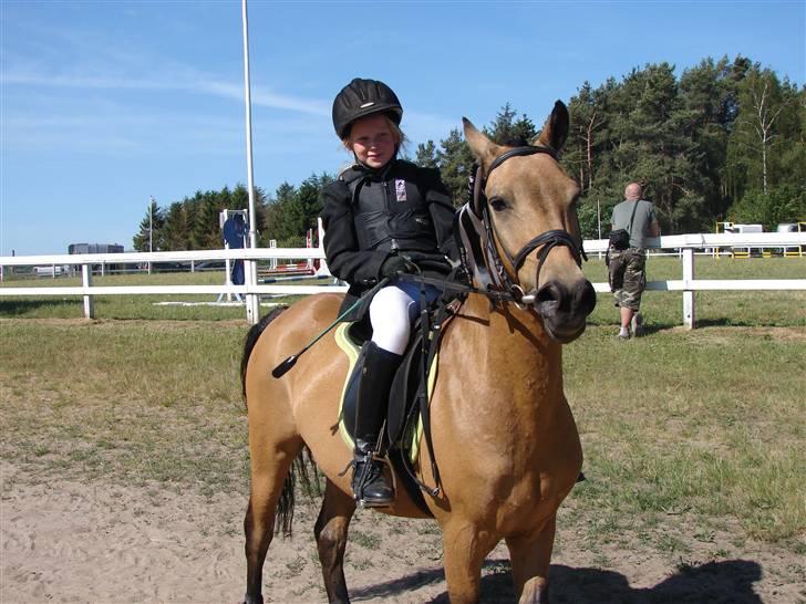 Anden særlig race Løvlunds Prins Valiant billede 4