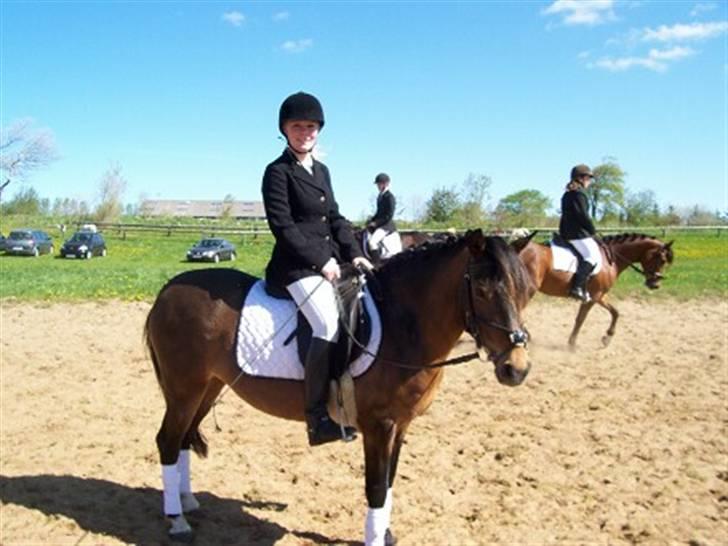 DSP Caliope *SOLGT* - Det allersidste billede jeg tog af hende :´( billede 8