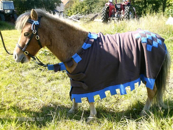 Miniature Tarzan billede 7