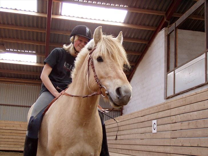 Fjordhest Heine Høj - Heine og jeg for 5 år siden! Sikke tiden den går <3 billede 15